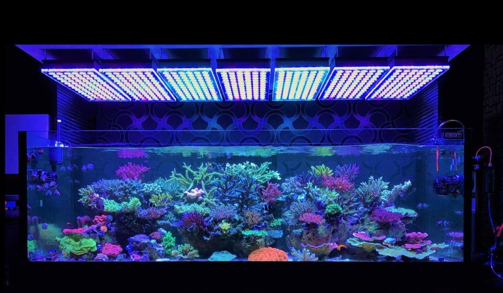 освещение растений в аквариуме