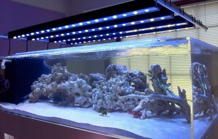 профессиональное светодиодное освещение для аквариума