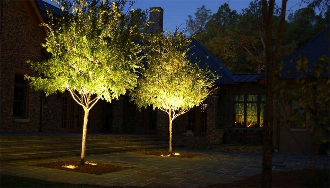 Декоративное освещение деревьев на участке